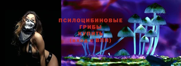 спайс Алексин